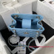 AS3176 Small Tote Bag