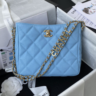 AS3223 Chanel Small Hobo Bag