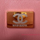 AS3223 Chanel Small Hobo Bag