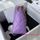 AS3223 Chanel Small Hobo Bag
