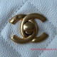 AS3223 Chanel Small Hobo Bag
