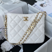 AS3223 Chanel Small Hobo Bag