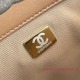 AS3519 Chanel 19 Shopping Bag in Shiny Lambskin